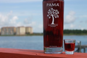 IMG 1686 300x200 Pama Pomegranate Liqueur Review