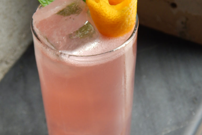 Hibiscus Soda